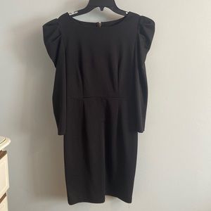 BB Dakota fitted dress with detailed sleeves.